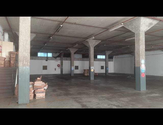 773M² WAREHOUSE TO LET IN NEW GERMANY